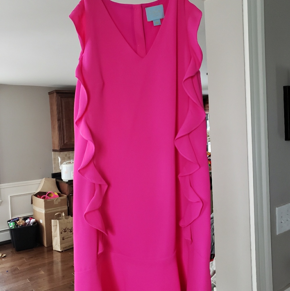 CeCe by Cynthia Steffe